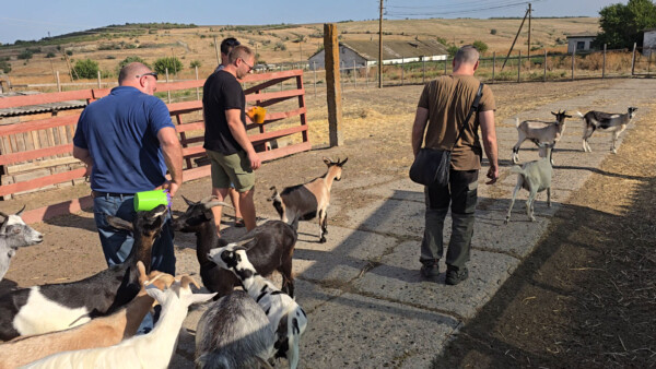 Spenden fuer den Tierschutz Unterwegs mit Spenden für die Tierschutz Station in Odessa. Wir leisten Hilfe für Haustiere, Nutztiere und Wildtiere.