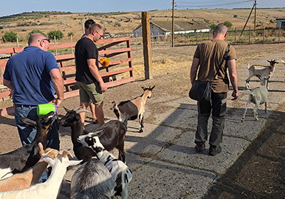 Unterwegs mit Spenden für die Tierschutz Station in Odessa. Wir leisten Hilfe für Haustiere, Nutztiere und Wildtiere.